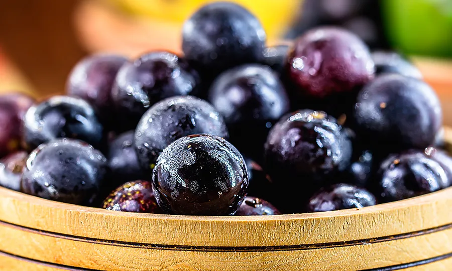 Cacho de jabuticabas maduras e brilhantes em recipiente de madeira, frutas frescas colhidas do pé, usadas como referência para quem busca como fazer mudas de jabuticaba e cultivar a jabuticabeira em casa.